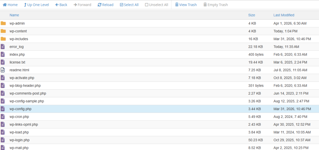 edit wp-config
